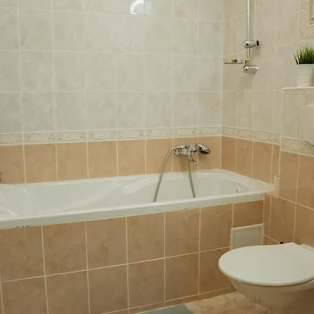 Vila High Tatras Family Mansion With Sauna, Jacuzzi & Gym Nova Lesna